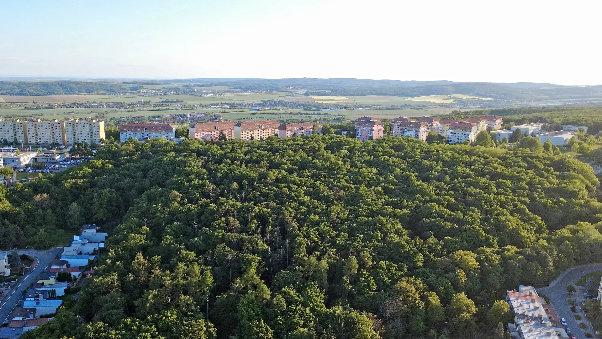 Holedná forest preserve from above