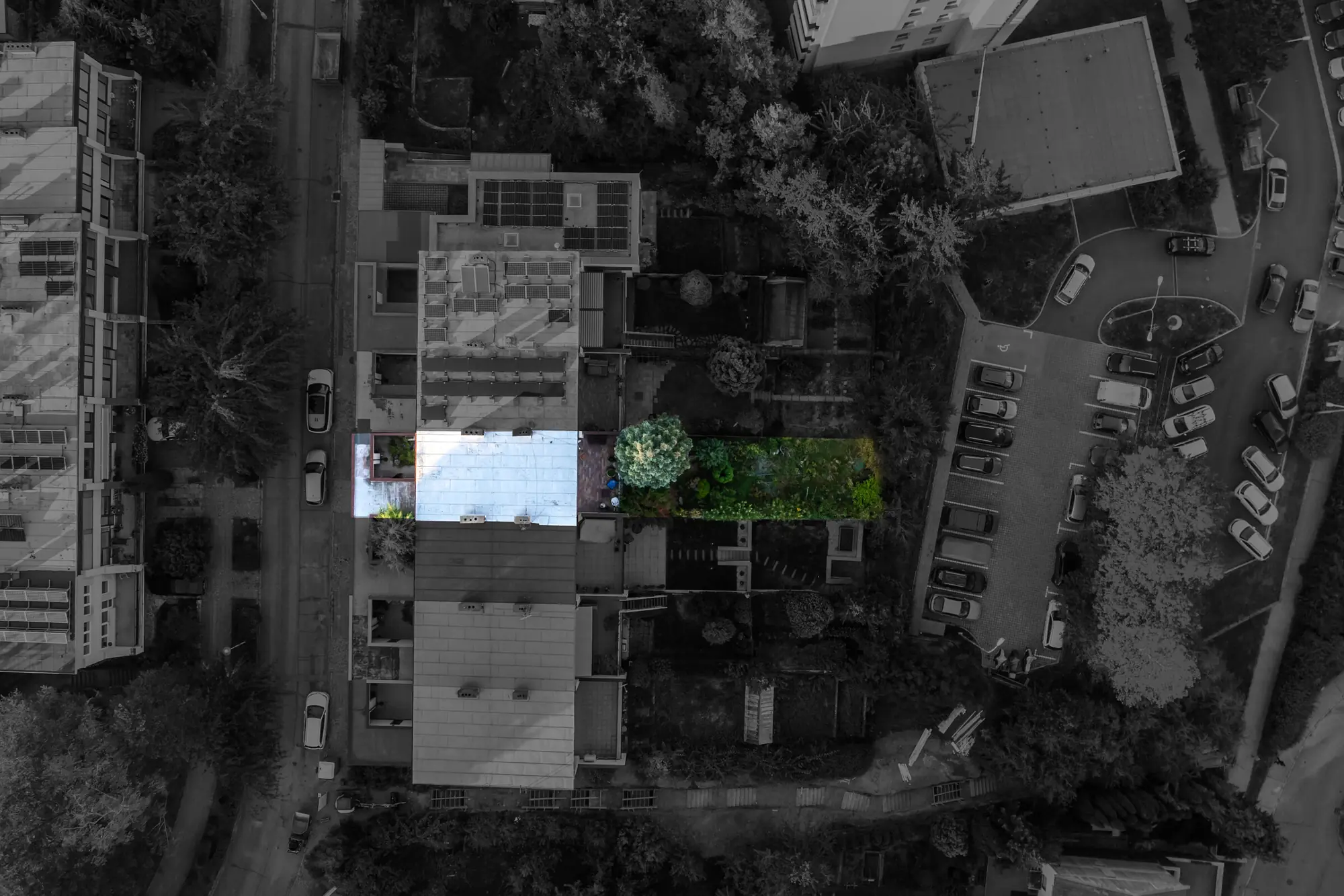 Top-down view with the house and garden highlighted